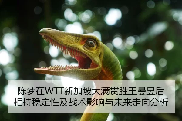 陈梦在WTT新加坡大满贯胜王曼昱后相持稳定性及战术影响与未来走向分析